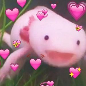 Axolotl Con Cara de Felicidad