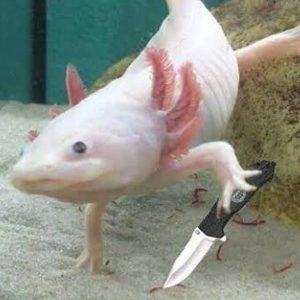 Axolotl con cuchillo